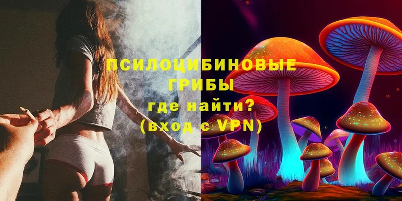 даркнет сайт  Жирновск  Псилоцибиновые грибы Magic Shrooms 